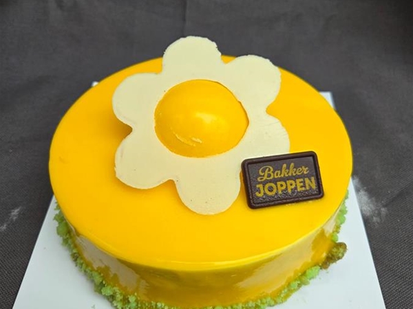 Witte chocolade passievrucht 6/8 pers