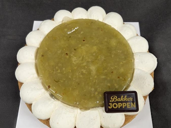 kruisbessen mascarpone 6/8 pers.